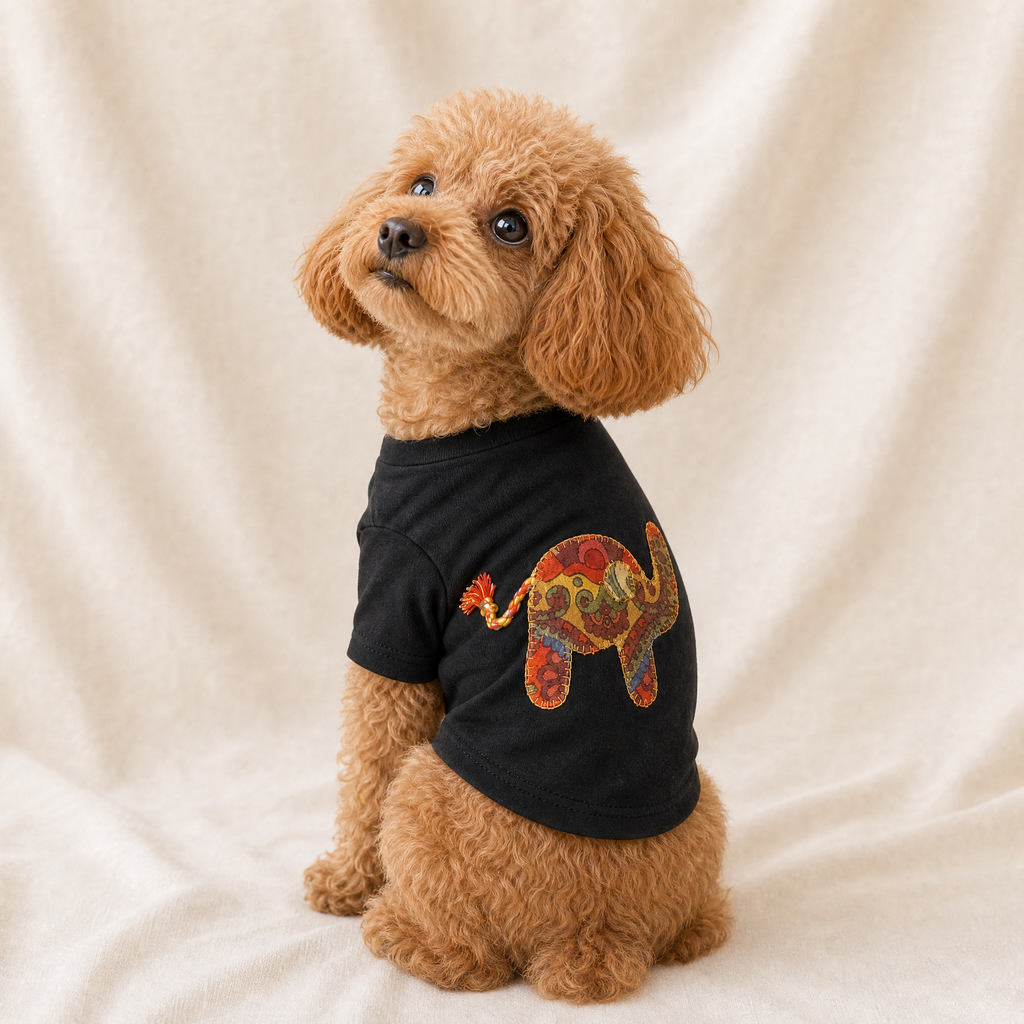 NEW Safari T-shirt