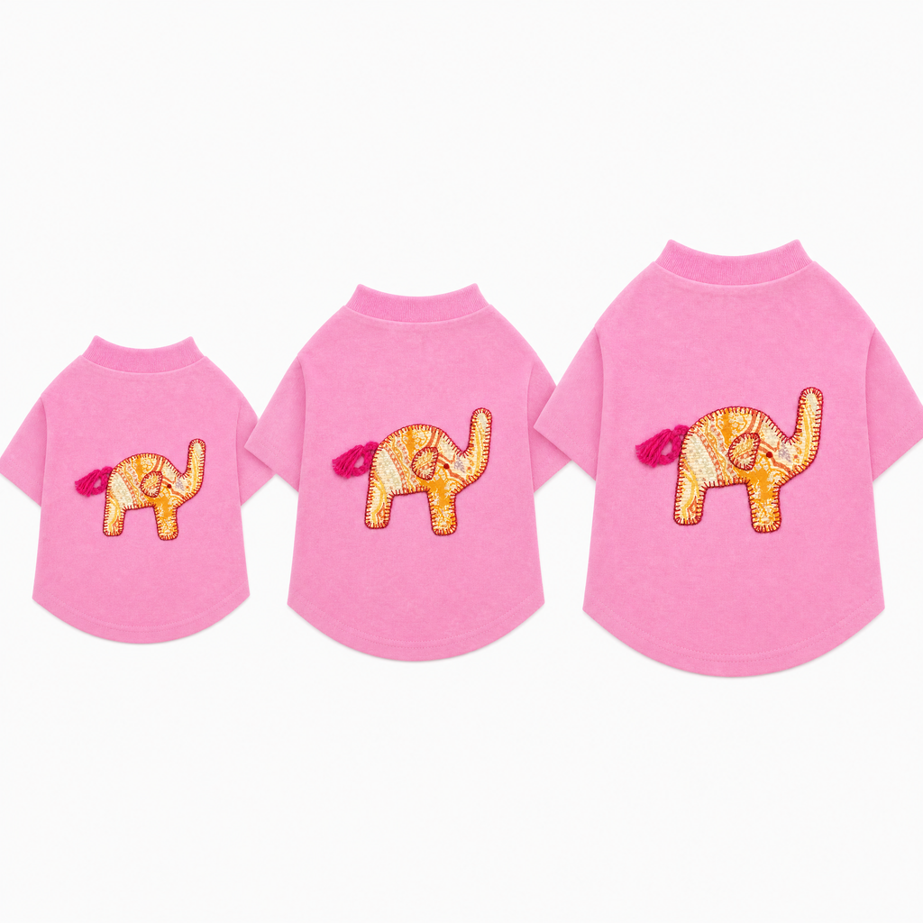 NEW Safari T-shirt