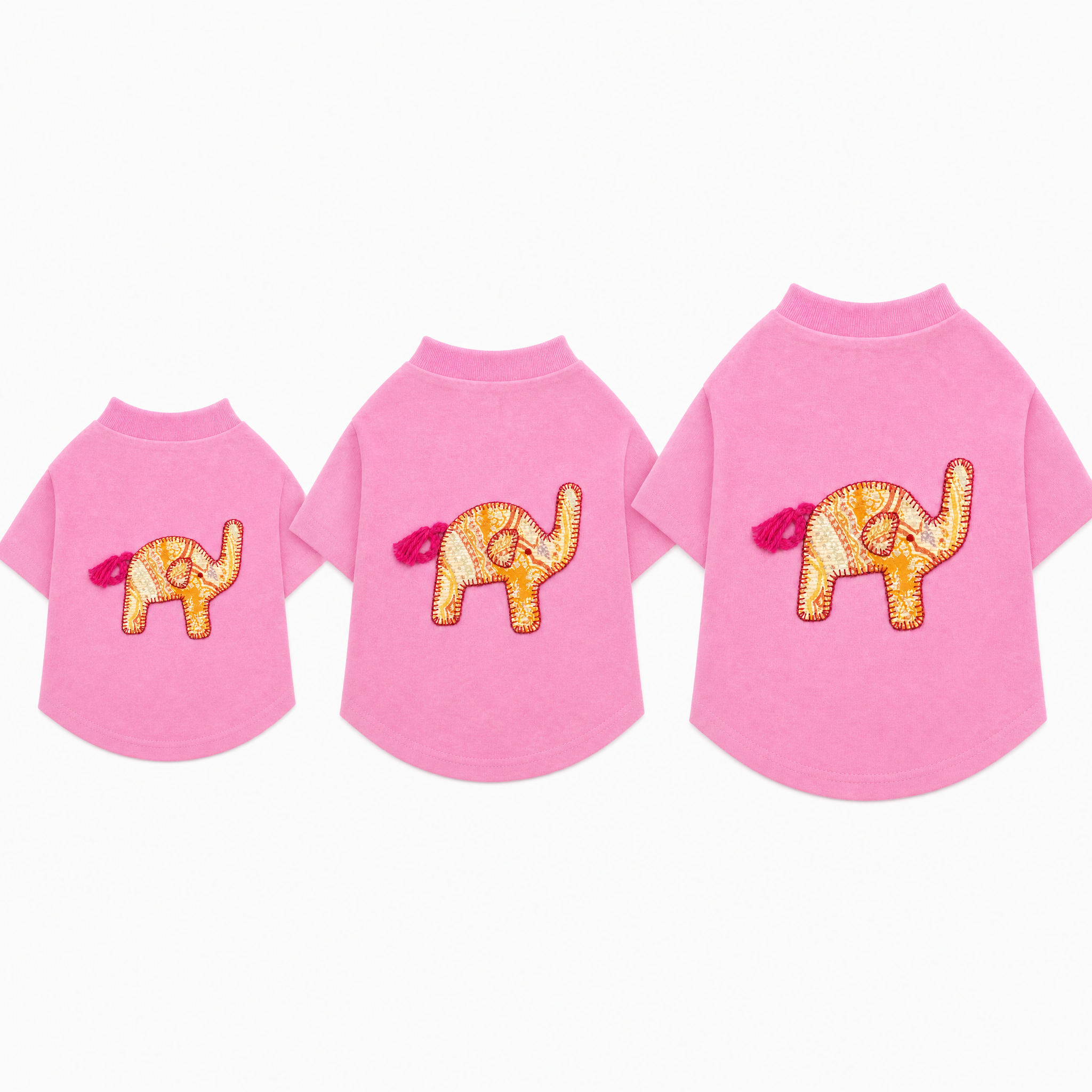 NEW Safari T-shirt